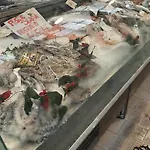 公寓 Casa Ninni 圣雷默